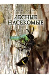 Лесные насекомые