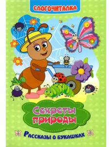 Слогочиталка. Секреты природы. Рассказы о букашках. ФГОС ДО