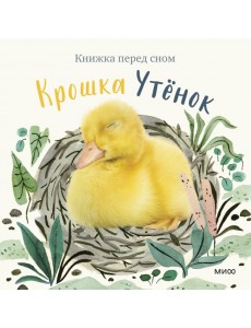 Крошка Утёнок