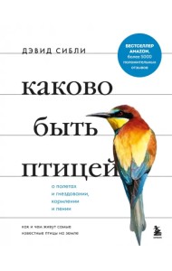 Каково быть птицей. О полетах и гнездовании, кормлении и пении. Как и чем живут самые известные птиц