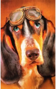 Раскрашивание по номерам Панно Грустный взгляд