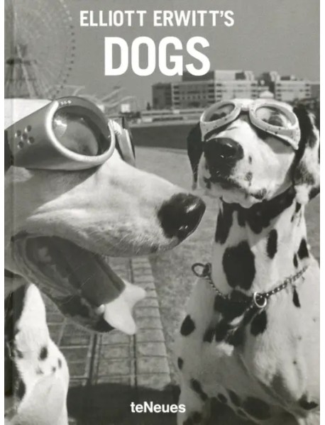 Elliott Erwitt's Dogs