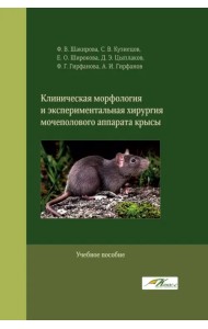 Клиническая морфология и экспериментальная хирургия мочеполового аппарата крысы