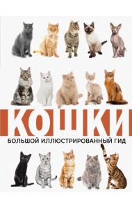 Кошки