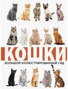 Кошки