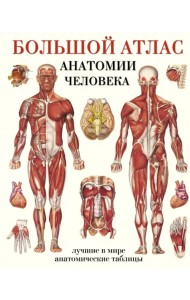 Большой атлас анатомии человека