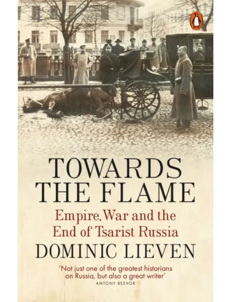 Towards the Flame. Empire, War and the End of Tsarist Russia