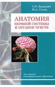Анатомия нервной системы и органов чувств
