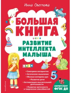 Большая книга. Развитие интеллекта малыша Большая книга. Развитие интеллекта малыша