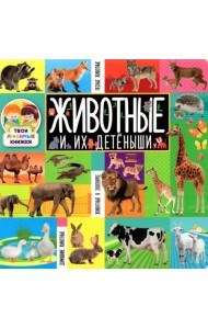 Животные и их детёныши