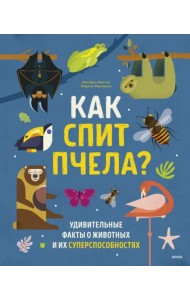 Как спит пчела? Удивительные факты о животных и их суперспособностях