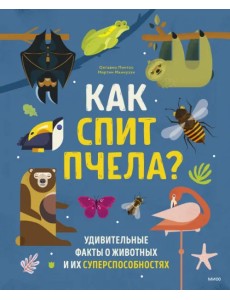 Как спит пчела? Удивительные факты о животных и их суперспособностях