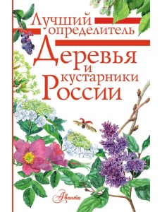 Деревья и кустарники России. Определитель