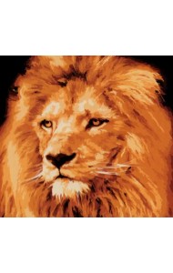 Холст с красками Взрослый лев с гривой