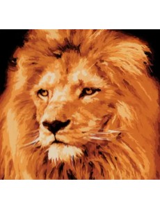 Холст с красками Взрослый лев с гривой Холст с красками Взрослый лев с гривой