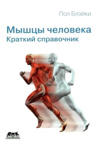 Мышцы человека. Краткий справочник