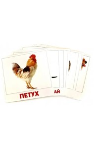 Домашние животные