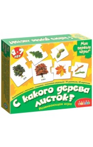 Развивающая игра 