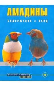 Амадины. Содержание и уход