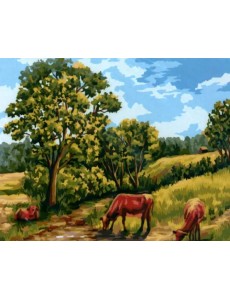 Рисование по номерам. Деревенский пейзаж