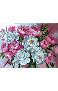 Рисование по номерам. Нежные пионы