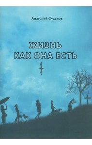 Жизнь как она есть
