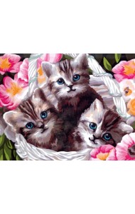 Картина по номерам на холсте с подрамником. Котята