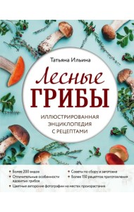 Лесные грибы. Иллюстрированная энциклопедия с рецептами