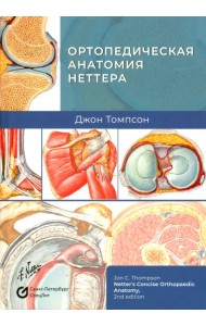 Ортопедическая анатомия Неттера