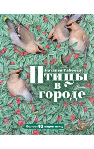 Птицы в городе