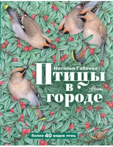 Птицы в городе Птицы в городе