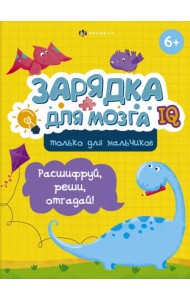 Зарядка для мозга. Только для мальчиков