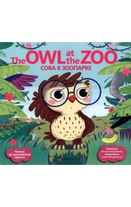 The Owl at the zoo. Сова в зоопарке