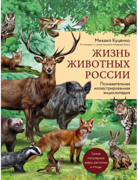 Жизнь животных России. Познавательная иллюстрированная энциклопедия