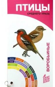 Птицы Среднего Урала. Воробьиные и неворобьиные. Веер-определитель