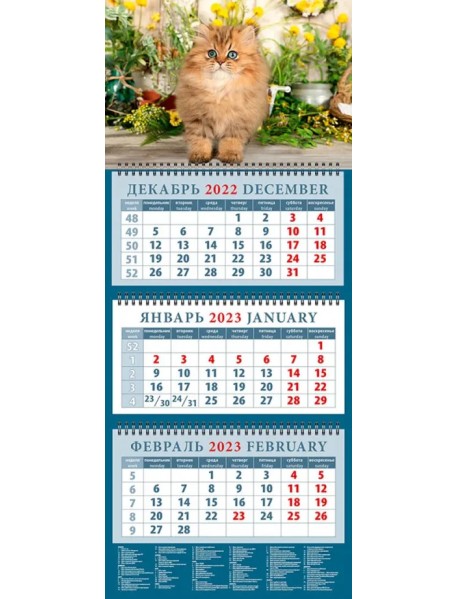 Календарь на 2023 год. Год кота. Очаровательный малыш