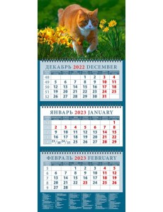 Календарь на 2023 год. Год кота. Рыжий красавец