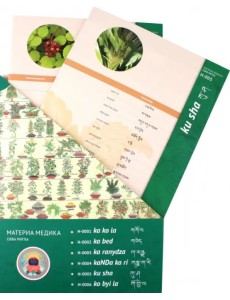 Набор карточек Материя Медика Сова Ригпа