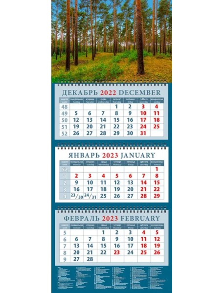 Календарь на 2023 год. В сосновом лесу