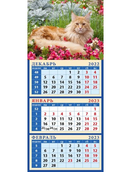 Календарь на 2023 год. Год кота. Среди цветов