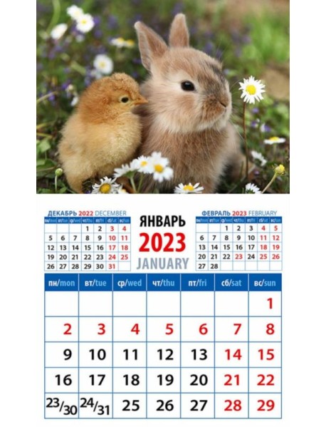 Календарь на 2023 год. Год кролика. Друзья среди ромашек