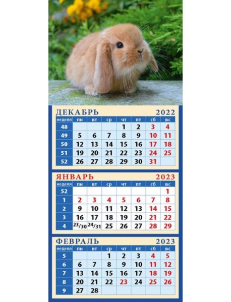 Календарь на 2023 год. Год кролика. Симпатичный малыш