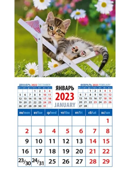 Календарь на 2023 год. Год кота. Отдых в шезлонге