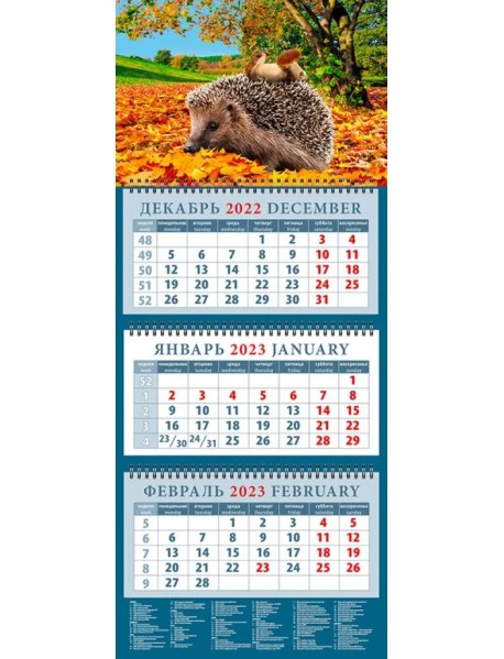 Календарь на 2023 год. Ежик с грибами