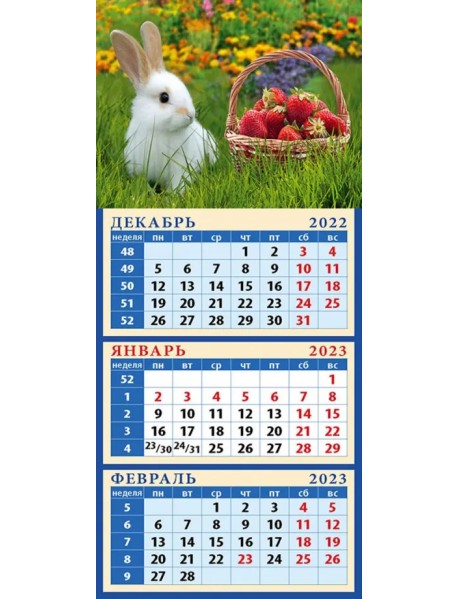 Календарь на 2023 год. Год кролика. Дары лета