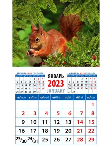 Календарь на 2023 год. Белка с орехом