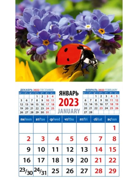 Календарь на 2023 год. Божья коровка и незабудки