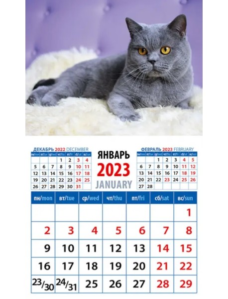 Календарь на 2023 год. Год кота. Настоящий джентльмен
