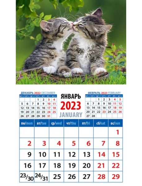 Календарь на 2023 год. Год кота. Кошачьи нежности