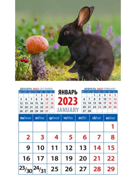 Календарь на 2023 год. Год кролика. Длинноухий грибник